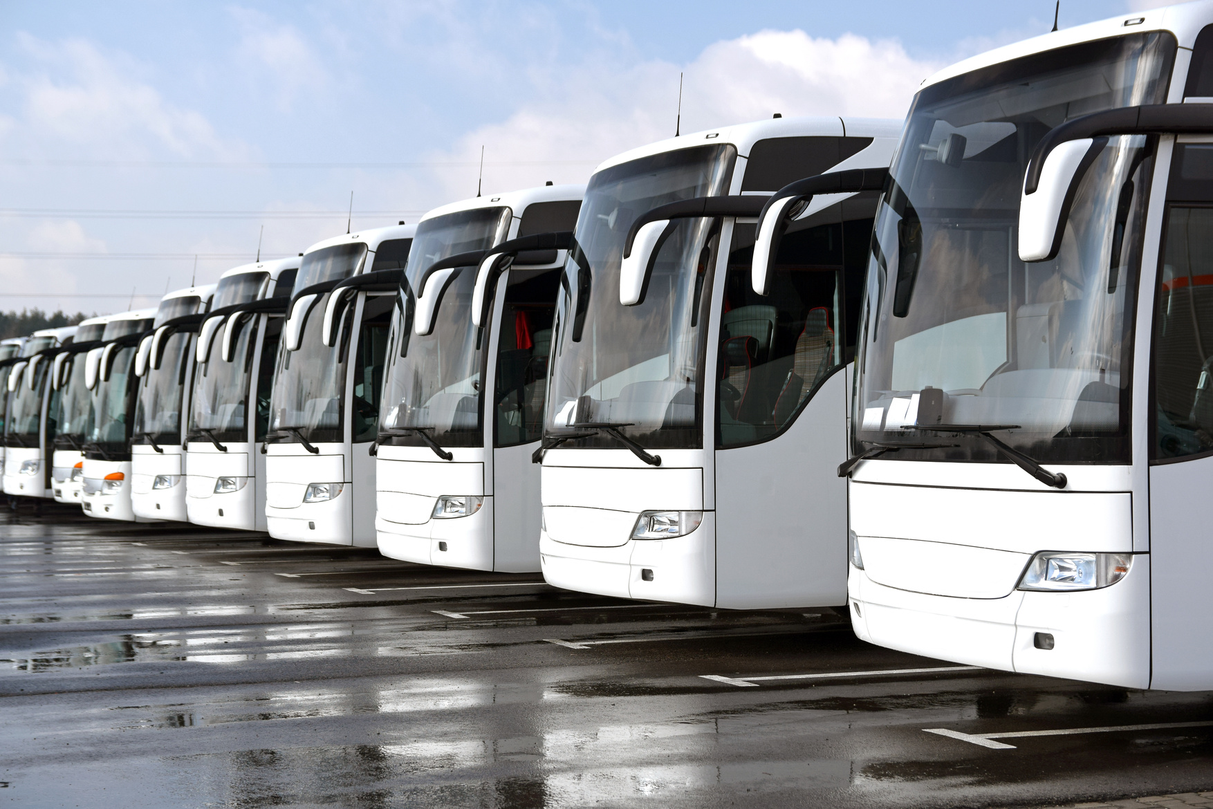 White coach buses in a row
